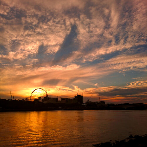 ブリスベン川に沈む夕日と観覧車Wheel of Brisbaneのシルエット